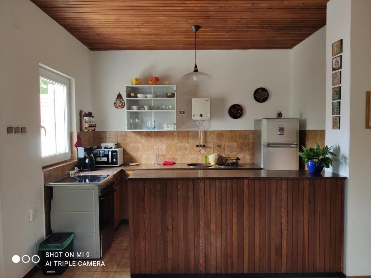 Danica Holiday House Cesarica Ngoại thất bức ảnh