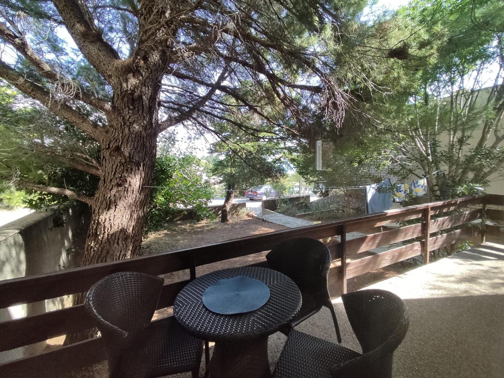 Danica Holiday House Cesarica Ngoại thất bức ảnh