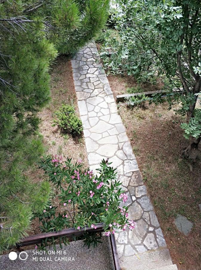 Danica Holiday House Cesarica Ngoại thất bức ảnh